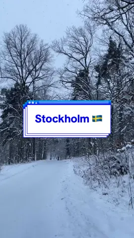 #sweden #stockholm #skansen #snow #christmas #citybreak