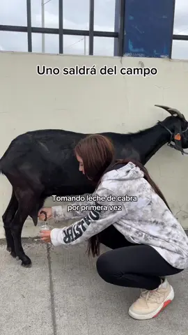 Probando leche de cabra por primera vez 🐐 #fyp 