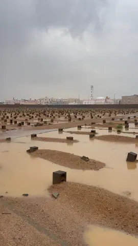 #ينبع_البحر #مطر #اكسبلورexplore  هكذا كانت الأمطار على موتاكم وموتا المسلمين  اللهم تقبل منهم وعفو عنهم يارب 