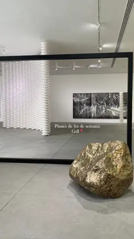 Mi museo favorito de gdl. MAZ 📍💌 #museomaz #quehacerengdl #planesgdl #museosgdl #artegdl #planeslowcostgdl #f1 