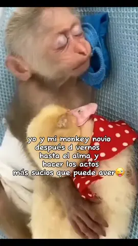 #CapCut #fyp #Love #amoaminovio #xxxninixxxzx 