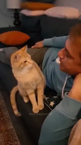 🤣🤣 #cat #cats #cutecat #catlover #catsoftiktok #fyp #foryou #foryoupage #funny #fypシ #funnycat #funnyvideos #funnytiktok #funnyanimals #kitty 