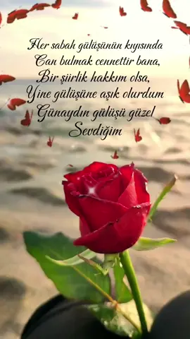 #keşfet #foryou #fyp  Günaydın ömrüm❤