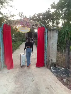 Tao làm biếng quá trời 