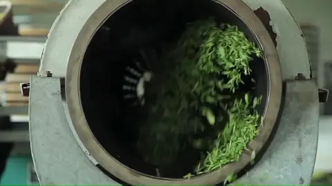 A cup of tea make your day 🌿#tvc #editor #xuhuong #tra 