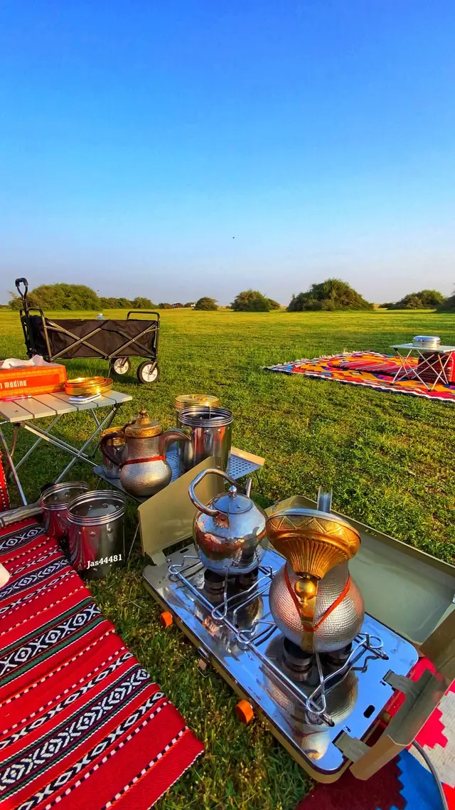 مساء الخير للجميع .. لحظة تأمل في الطبيعه .. تأملوها #كشته_طلعه_بر #كشتات #مناظر_طبيعيه #اجواء_الشتاء #راحه_نفسيه 