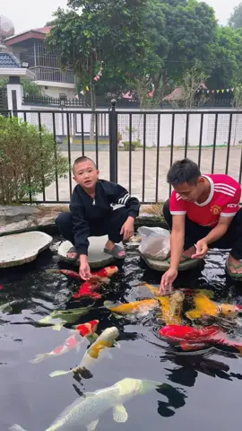 Mao đệ tuốt lại nhan sắc và giọng nói 😅#maodede #tammaotv #maodecauca #vienthaboncau #dcgr 