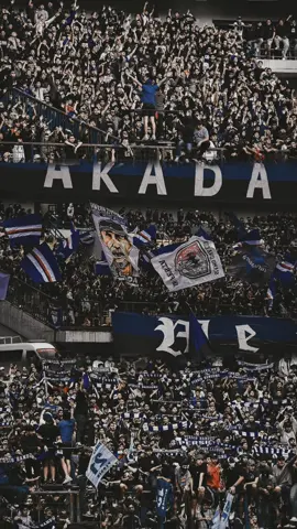 Northernwall20 X 26ccboys for persib🙌💙 #persib #persibfans #bandungflowerscity #northernwall20 #26ccboys #bandungfootballculture #CapCut 