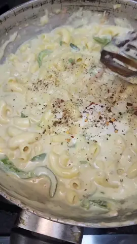 #macncheese #cheesepasta #pastatiktok #pastarecipes #Recipe #haseebee #Foodie #oyehoyehoye #cookingcream #macroni #whitesauce #garlic #salt #chilli #recipes #capsicum #pastalover #recipes #foodies #tiktokfood #tiktokfoodlover #bestrecipe #chickenpasta #resturant #creamypasta #cheesepasta #cheesy #mozzarella #cheddercheese #spicy #milk #saucerecipe #howtomakepasta #voiceover 