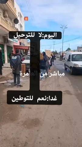 #العامرة #المهدية #صفاقس_قبلي_قفصة_القيروان_جندوبة_تطاوين🇹🇳 #تونس #ليبيا #الجزائر 