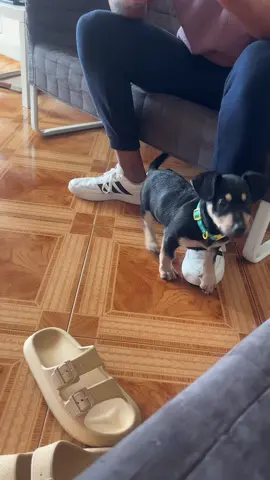 😂😂😂😂😂😂