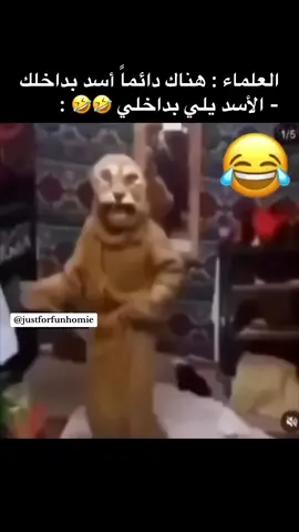 سنبا قادم 😂😂 #اضحك_من_قلبك #سيمبا_قادم_سمبا_جاء #مضحك #meme #foryou #justforfunhomie 