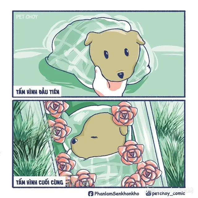 mong con ở thế giới khác vui vẻ