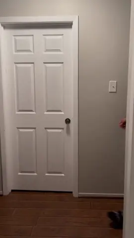 #scarepranks #scarecam #jumpscare #scaryvideos #funnyfails #funnytiktok #funnyvideos #scarecamchallenge #fypシ #funny #foryoupage #fails #bushmanprank #hahahahahahahaha 