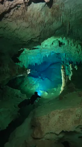 Just swim, as the music plays in the background, swim because these places deserve to be visited.. Mayan Underground River.. The Cenotes are a bizarre enviornment..   #showcasingbeautiful #caves  . Silvia Buccelloni @Bigblue Dive Lights 🔦🔦🔦 . #mexico #tulum #cenotesmexico #techdiving #cavediver #cavediving #scubatok #sidemountdiving #underwatertiktok #underwaterworld #uwvideographer #uwvideo #mexico_maravilloso #cenotediving #reel #reels #reelsindia #reels__tiktok #mexicotiktok #tauchen #plongeesousmarin #buceo #mergulho #speleology #speleothem #adventurer #explorepage #exploremore #explore #girlsthatscuba #girlsthatcavedive #scubagirl #scubatiktok #scubadive #scubadivinglife #scuba #sonya1 #sonyvisuals #sonyalpha #sonyalphaclub #nauticamhousings #bigbluedivelights 