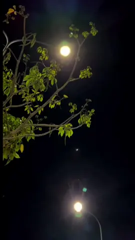 - 𝐒𝐞𝐥𝐞𝐧𝐨𝐩𝐡𝐢𝐥𝐞 🌙✨  #moon #moonlight #astrophile #selenophile #bulan #aesthetic #night #moonlovers #sadvibes #vibesmalam #fyp #foryou 