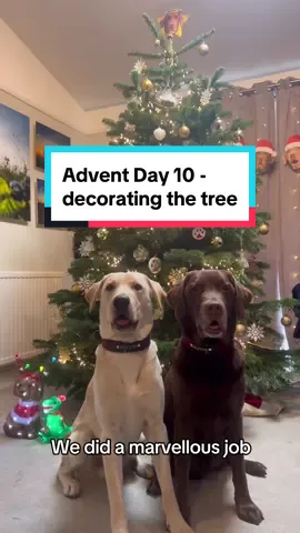 We only had a few bauble casualties 😂