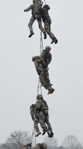 Commandos paras : le stage Jedburgh 😎  Au cœur de la sélection impitoyable des commandos paras de la 11e brigade parachutiste 🪂  Dans ce 2e épisode de notre série sur le GCP, place à l'exigeant stage Jedburgh ! Durant 14 semaines, les stagiaires vont apprendre à devenir commandos. 🎬 RDV sur notre chaîne YouTube pour regarder la vidéo 🎥 #ArméeDeTerre #SoldatsOps #Commando #Parachutiste #Jedburgh #GCP #ArméeFrancaise #France #Soldier