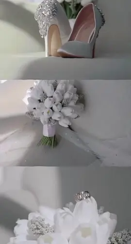 #مندوره_ايامي🥺💓 #اعراس_عراقيه❤💍 #خطوبه_حب #عقد_قرآن #حالات_واتس #اكسبلورexplore #التخمط_اعتبرها_فانزه_اليه😉💞 #بغداد_بصرة_موصل_الكويت_الخليج_دبي_ #العراق_السعوديه_الاردن_الخليج #الجبور_وعز_الجبور #اللهم_حبل_المشاهد #اكسبلور_تيك_توك 