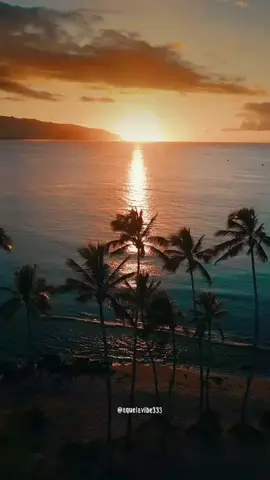 #❤️💛💚 #videosstatus #tiktok #viral #reggae #reggaeton #vibe #vibes #tiktokmundo #statuswhatsap #statusvideo #status #reggaefortaleza #videoviral #tiktokviral #tiktoknews #pedrada #pedra #viraliza #video #musica #reggaemaranhao #reggaepiaui #asmelhores #bobmarley #praia  #sol #brisa #pordosol #jamaica #jamaicatiktok #jamaicantiktok🇯🇲viral 