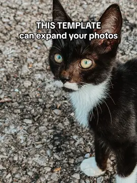 Try this new template with your freinds!✨ #AIExpand #cccreator #capcutedit #photography #photoedit #mobileedits #creativephoto #capcuttemplates @CapCut 