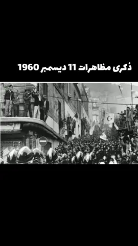 #تحرير_فلسطين #algeria #fiypシ #viral #foryoupage @Mecanico ⚙️🚘 @𓆩نجم𓆪 