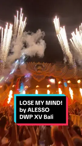 Calling by @Alesso himself, absolute fucking fire!!! #dwpxv #dwpbali #djakartawarehouseproject 