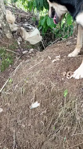 @rudi_gareng2 #pengen #fypkalian #fypkabarinyaシ #fypberandaviralkan #masukberandagaknih #pengenfypdonggpliss🥺 