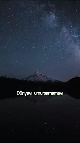 Kendini motive et 🫵 #motivasyonvideoları #motivasyonsözleri #başarıhikayesi #başarıhikayeleri #güç #trendvideolar 