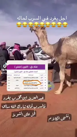 كفووو  والله بدواسر ويستاهلون 👍