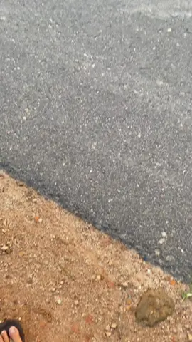 Cuma win yang ga seberapa #fyp #fypシ゚viral #hondawin #hondawin100 #fypシ #hondawinadventure #hondawin100indonesia #Rusajalanan #semitrail #motortua #CapCut 