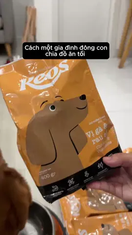 đang tuổi ăn tuổi lớn mà phải làm mẹ 3 con, quãi sao á #capcut #xuhuong #dogsoftiktok #funny 