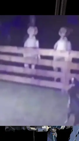 #alien #footage #alienfootage #ufo #ufologia #ufosittings #horrorvideos  #fyp #ovni #alienabduction #ovnifootage #realalien #grayalien #spooky #greys #alienígenas #ovnisreales #ufology #casosufológicos #creepy #viral #fyp #fy #foryou #ufoキャッチャー #alienígenas #seresextraterrestres #contatoimediato #terror 