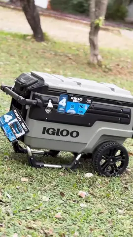 🫵 Conservadora Igloo Trailmate, 70 Qt ( 66l ) 👉Las ruedas de gran tamaño antipinchazo (Never-Flat) abordan la arena y otros terrenos difíciles con tracción superior y una distancia al suelo de 10 pulgadas. 👉La capacidad de 70 cuartos de galón sostiene 112 latas frías. El cuerpo y la tapa de la hielera cuentan con aislación Igloo Ultra Herm que ofrece un rendimiento de retención de hielo de 4 días. 👉El espacio de almacenamiento resistente al agua mantiene los elementos esenciales de tamaño de bolsillo seguros y secos. 👉La bandeja de mayordomo utiliza el mango telescópico para servir aperitivos y bebidas; y los portavasos mantienen tus bebidas frías al alcance de la mano. #igloo #igloocoolers #conservadora  #66litros #70qt #4dias #igloocoolers #cazaypescasanjavier 
