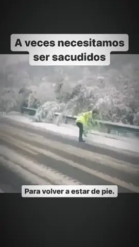 A Veces sólo lo que necesitamos, es que Dios sacuda nuestras vidas. ✨🙏🏻🔥🕊️🤲🏻 #confiaEnDios #creeEnSuProposito