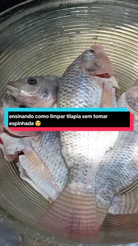 ensinando como limpar tilapia sem tomar espinhada 😯 #humorista #peixe #tilapia 