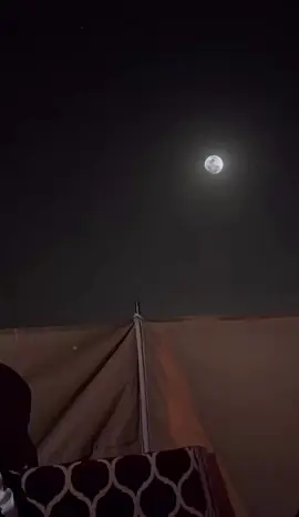 وتوادعت منه لو كلت كبدي الحسره💔. #foryoupage #قصيده_شعر #سند_الوادعي #explore #اكسبلور #fyp 