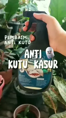 Kasurmu penuh kutu? jangan khawatir, kini ada spray pembasmi kutu kasur dari seroxil. Terbukti ampuh membasmi kutu kasur dan sofa. Cek keranjang kuning ya #kutukasur #sprayantikutu #antikutukasur #pembasmikutukasur #tiktokshop 