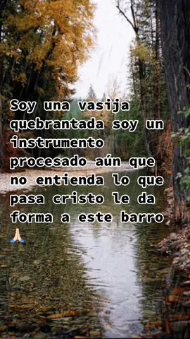 #🙏🏻🙏🏻🙏🏻 #soyunabasijaquebrantada #soyuninstrumentoprocesado #cristomesalvo #fyp 