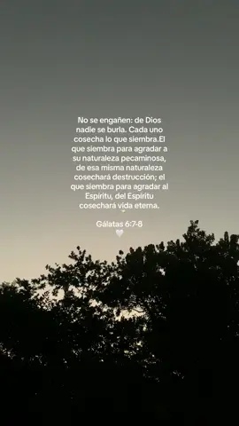 #Dios #palabradeDios #Foryou #✝️