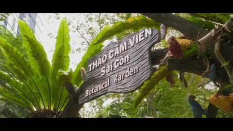 Thảo Cầm Viên #thaocamviensaigon #cinematic #shostfilm #xuhuong #videoviral 