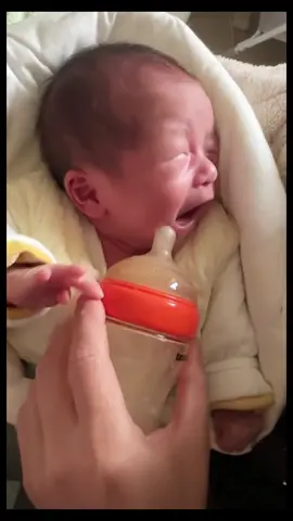 sữa đâu rồi nhanh nhanh #funnyvideos #baybelove #baybecute #mybaybe #foryourpage #xuhuong #xuhuongtiktok 