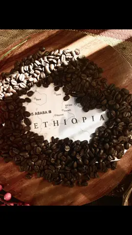 My First Starbucks Coffee Tasting~ Ethiopia Coffee ☕️                #partner #starbucks #fyp #coffeetasting #ethiopiacoffee 