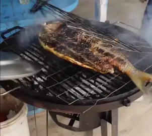 #fail #fails #random #funnyvideo #random #failarmy #randomfails #funny #coocking #fishfail 