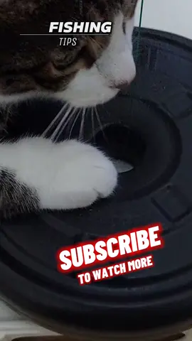 Handmade Fishing Snap ❣️Diy❣️Fishing Skills  #fishing #fishingvideos #hook #surf #lurefishing #fishingtrip #carpfishing #DIY #fishinggirls #girls #saltwaterfishing #bassfishing #angling #fisher #camping #solocamping #beach #pesca #bass #carp #angler #troutfishing #bigfish #kayakfishing #floatfishing #fishingtips #fishingvideo #knot #nature #animals #sea #hobby #kayakfishing #Outdoors #camp #handmade
 #homemade
 #Fitness #bodybuilding #fishingguide
