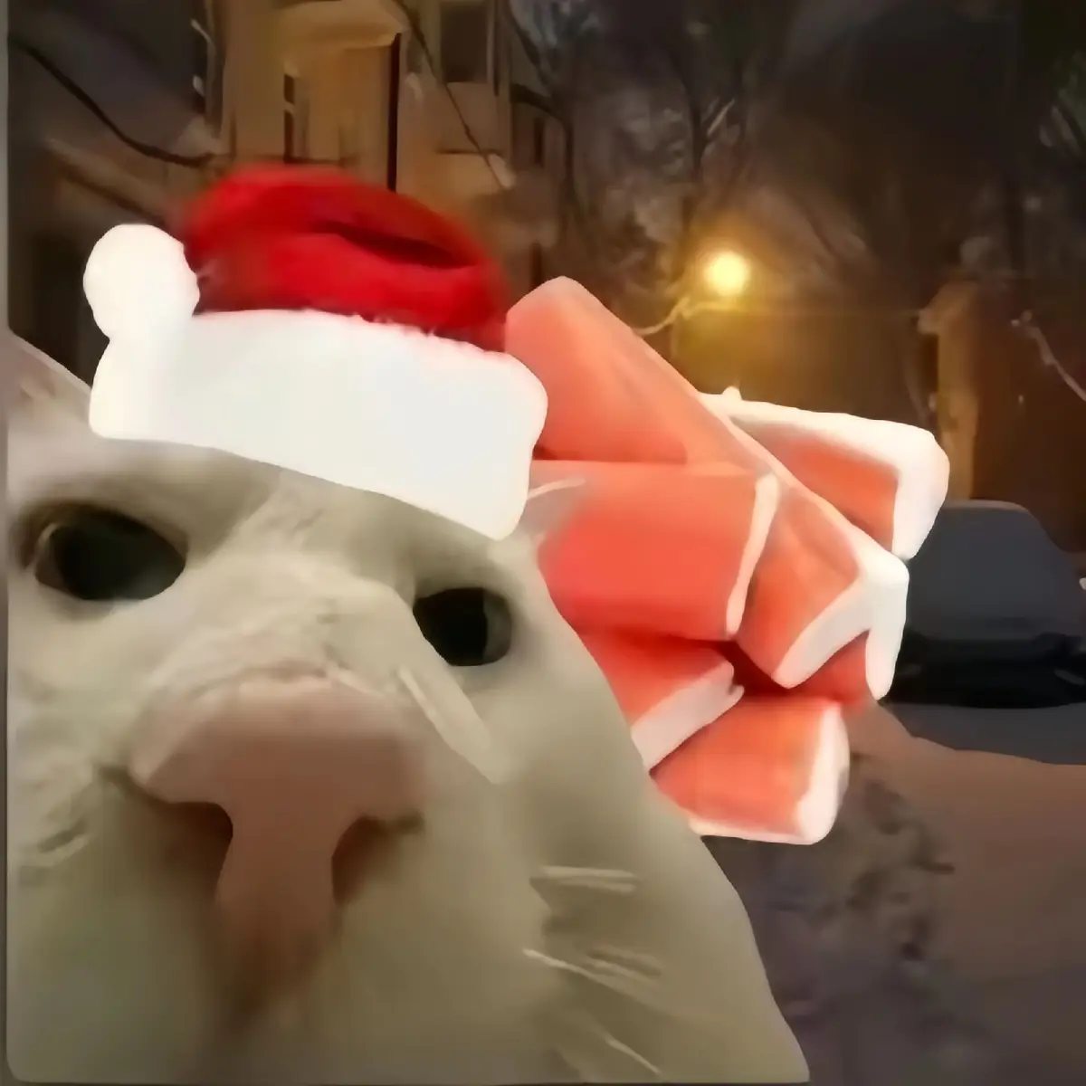 #xuhuong #fypシ #meme #merrychristmas 