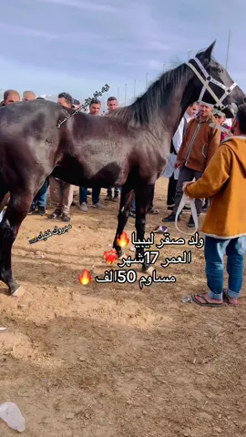#يربح_من_يصلي_عن_النبي🌙 #مصراته_الصمود🇱🇾🇱🇾🔥😌 #طربلس_مصراته_صبراته_زوراه_سرت_بنغازي #الجميل_العجيلات_صبراته_صرمان_الزاويه #طربلس_ليبيا_مصراته_ليبياا🖤🥀 #اكسبلور #ترند 