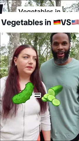 What did she say at the end? It didn’t sound like a vegatable that’s for sure! Learning the different words for vegetables in German is definitely a lesson for itself. Who would’ve known cucumber and pickle has two different words in English?! #americavsgermany #vegetables #learningalanguage #americanreact 