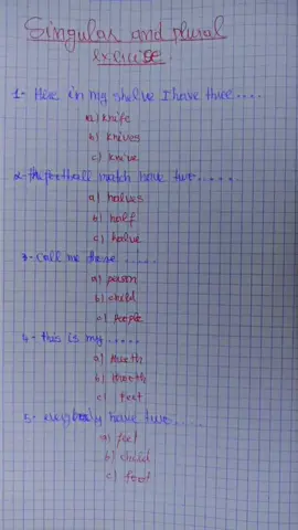 singular and plural exercise#LearnOnTikTok #anglais #apprendresurtiktok #english #learn 