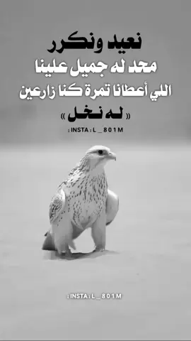 #عبارات_جميلة_وقويه😉🖤 #المصمم_شخصية_ماغيرهة #اليمن🇾🇪 #اكسبلوررررر #تصميمي @l_801m 